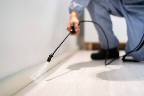 Licensed Pest Control service in Harrisburg, IL - Show Me Pest Control