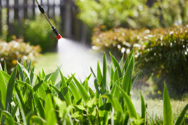 24/7 Emergency Wasp Removal experts in Harrisburg, IL
