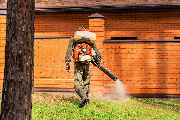 Top rated local Wasp Removal specialists in Harrisburg, IL
